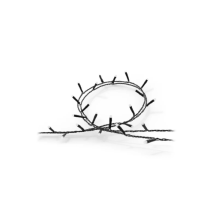 Philips Hue Festavia String Lights | Smart RGBW | 250 LEDs 20m